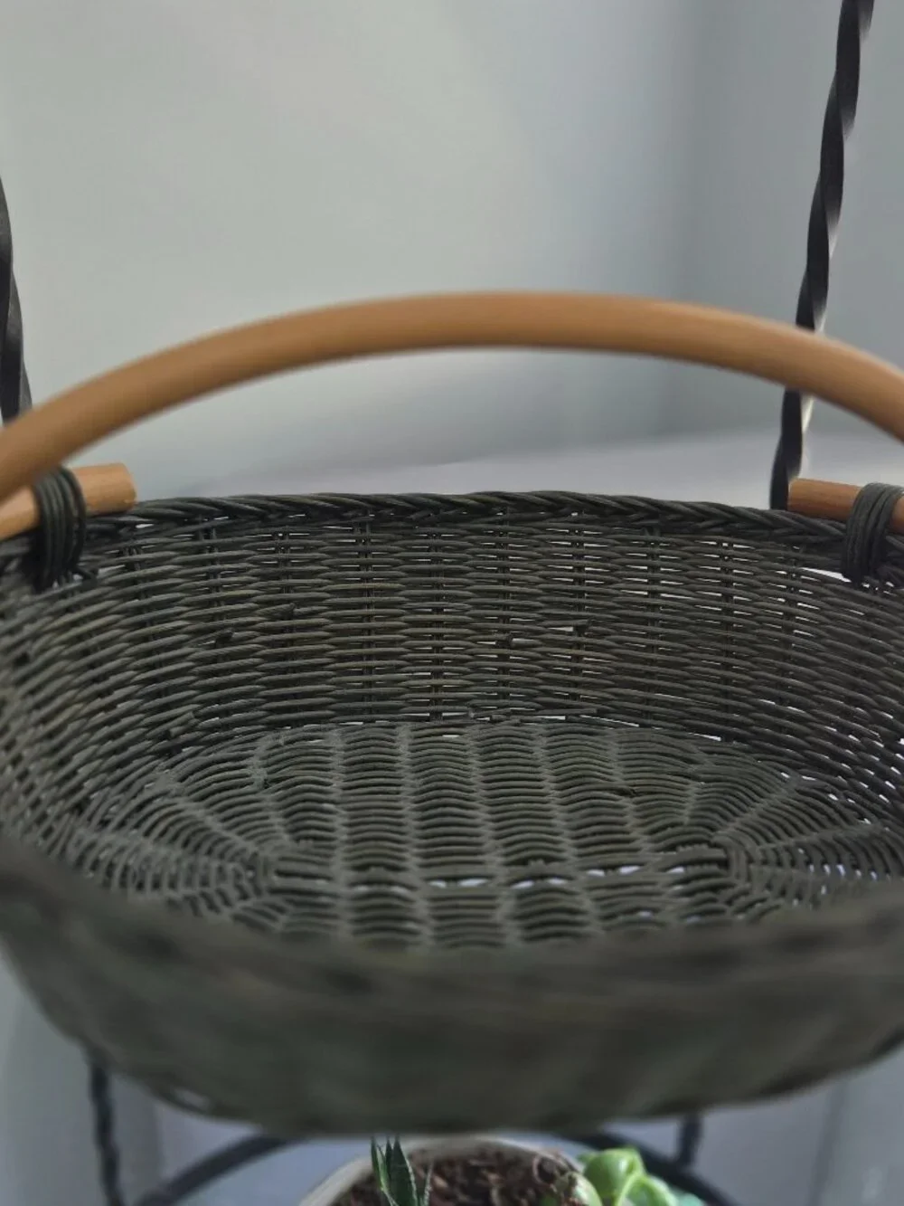 unbranded this olive